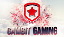 CS:GO. Gambit eSports триумфаторы DreamHack Winter 2016
