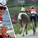Бельгийский велогонщик спас лошадь от столкновения с машинами