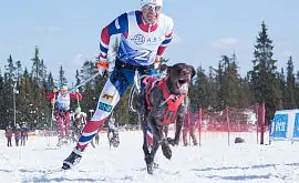 Бьорндален: «Если я привезу мою собаку на Олимпийские игры, то у Фуркада будет мало шансов