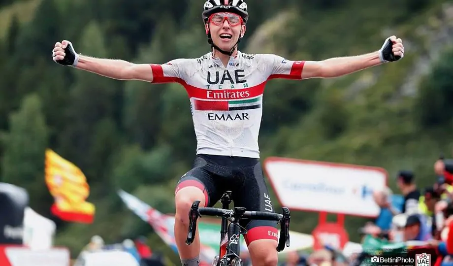 Погарач выиграл предпоследнюю гонку на Tour de France и обошел в общем зачете Роглича