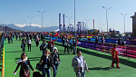 Олимпийский парк находится приблизительно в 30 километров от центра Сочи