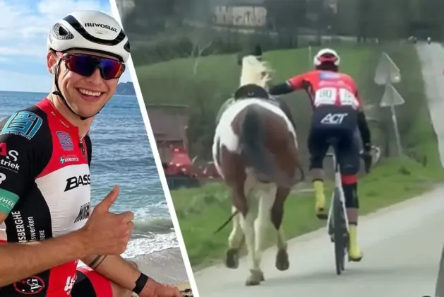 Бельгийский велогонщик спас лошадь от столкновения с машинами