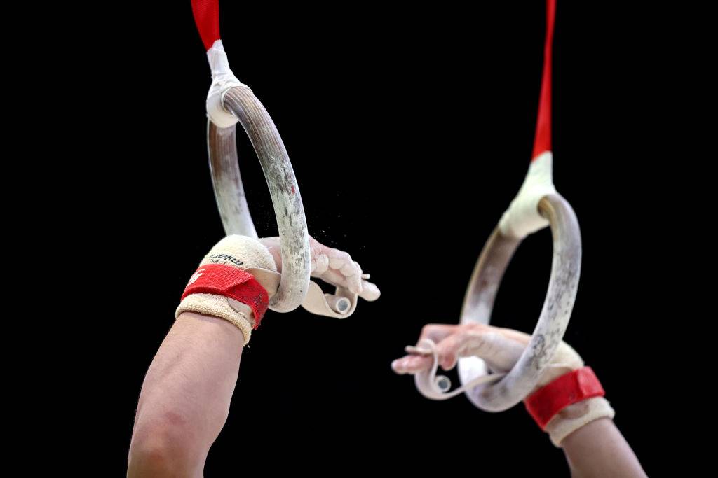 gymnastic rings