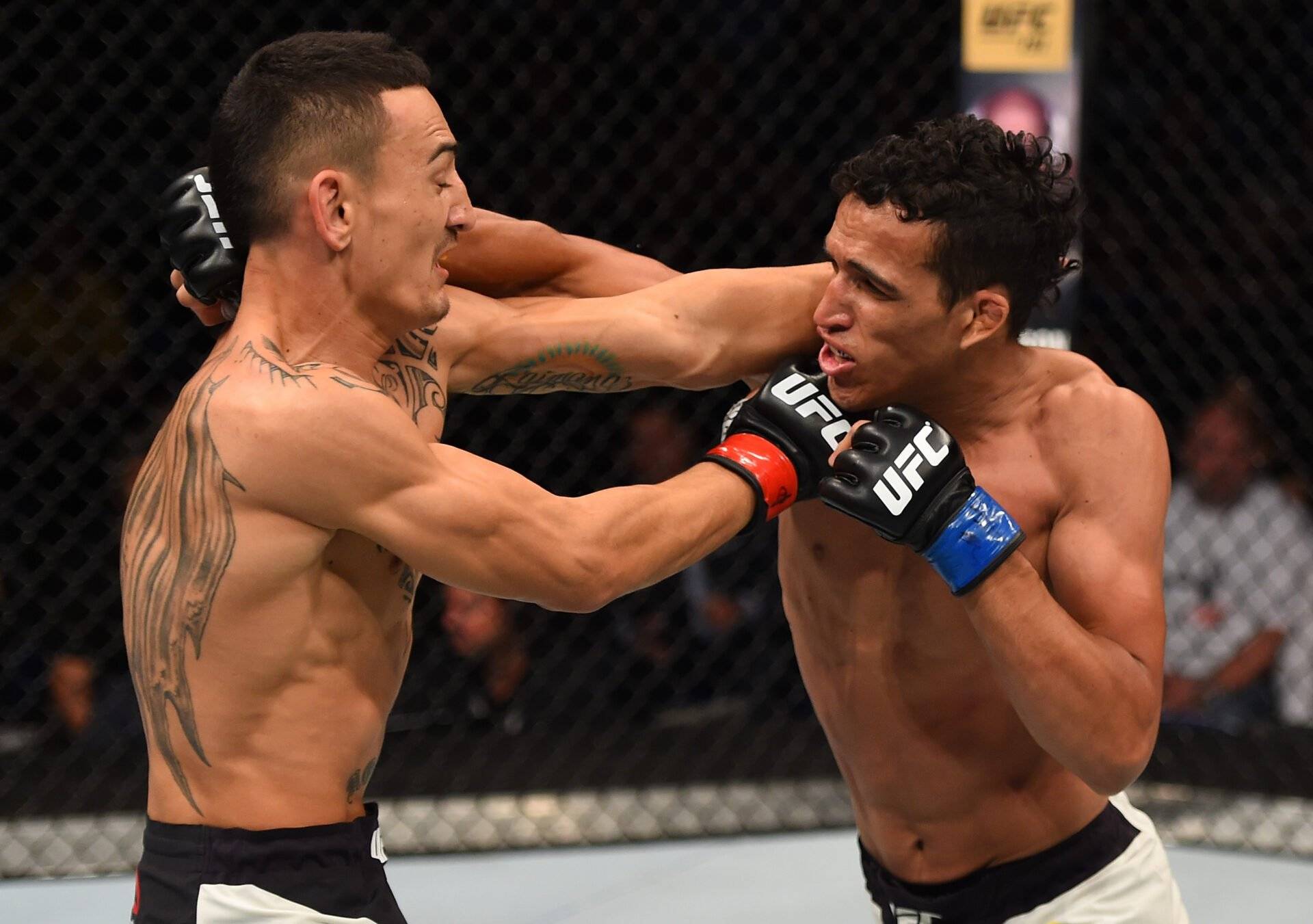Фото: UFC