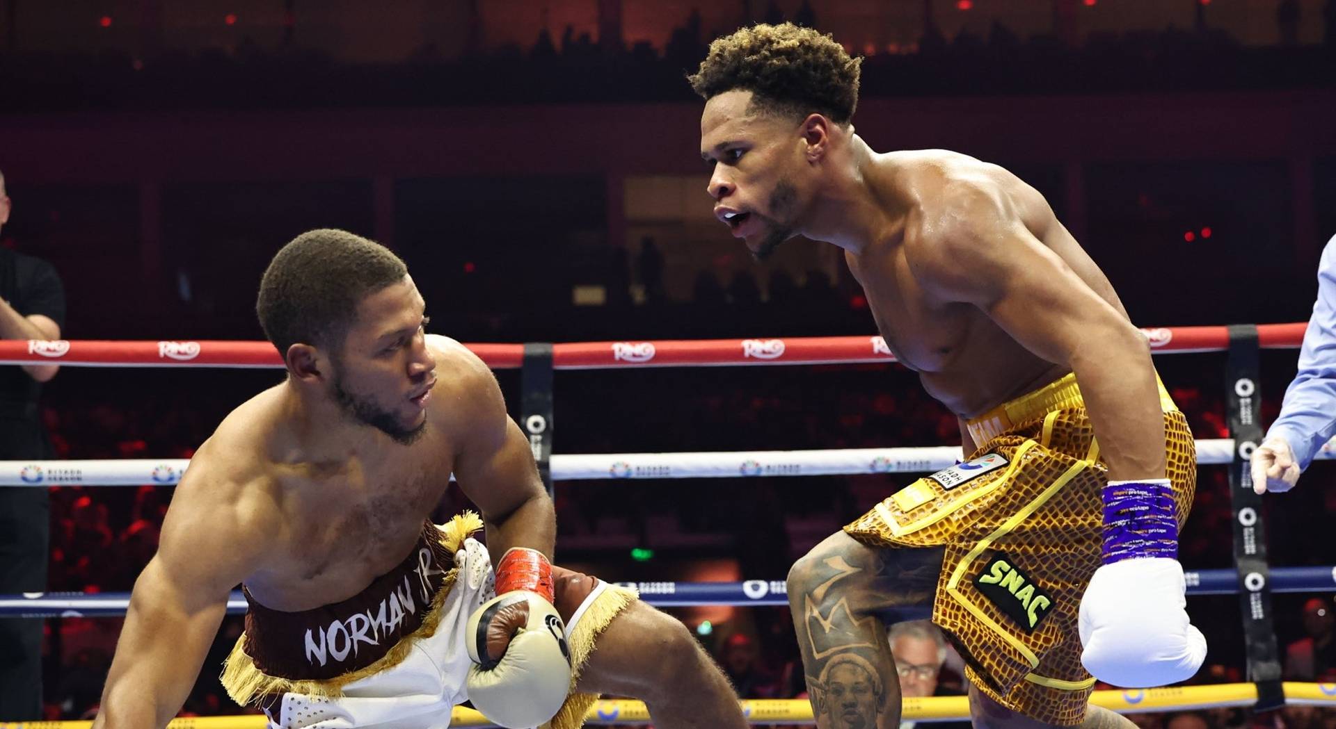 Норман - Хейні