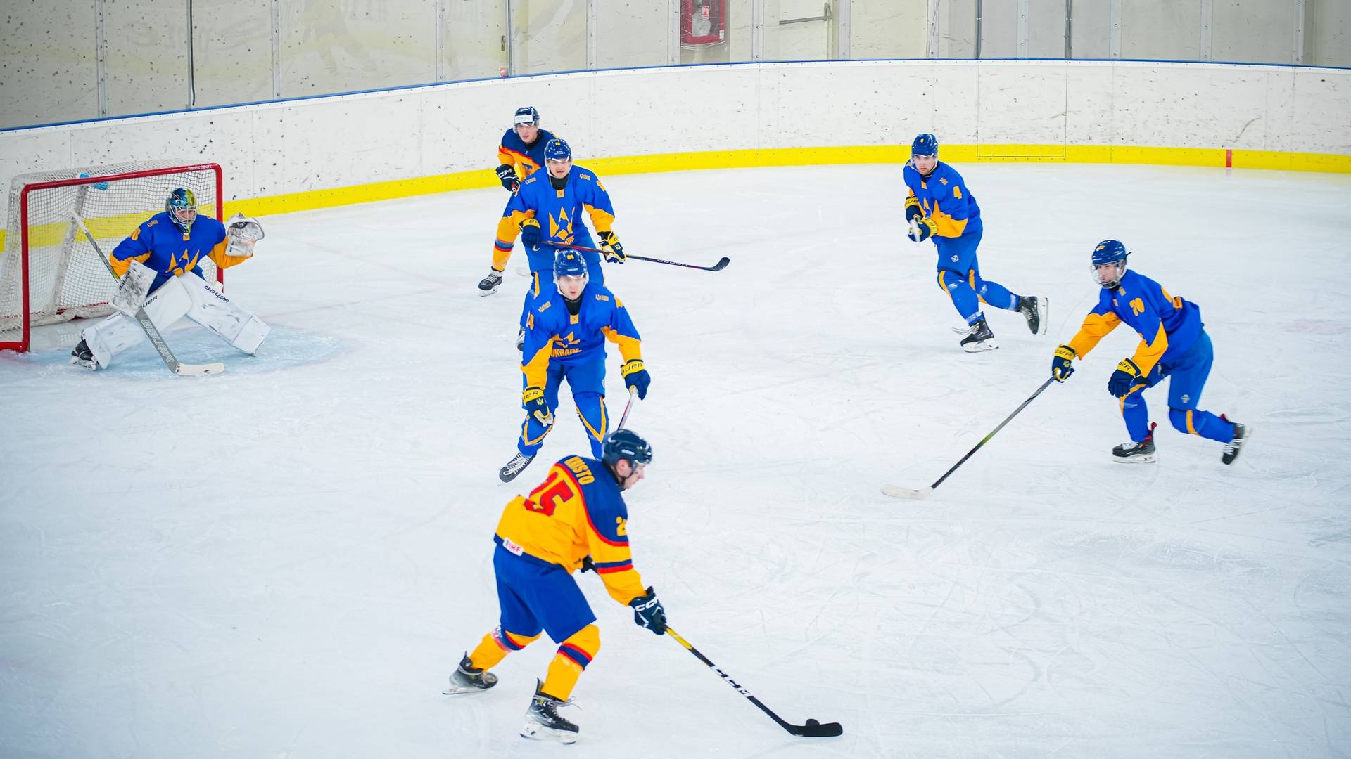 Збірна України з хокею