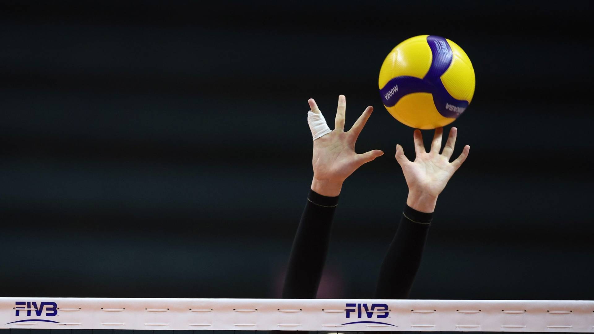 Фото: FIVB
