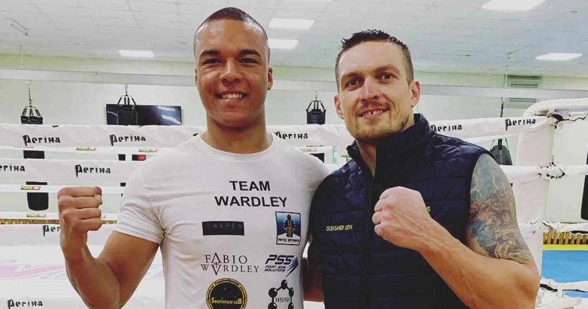Фабіо Вордлі та Олександр Усик