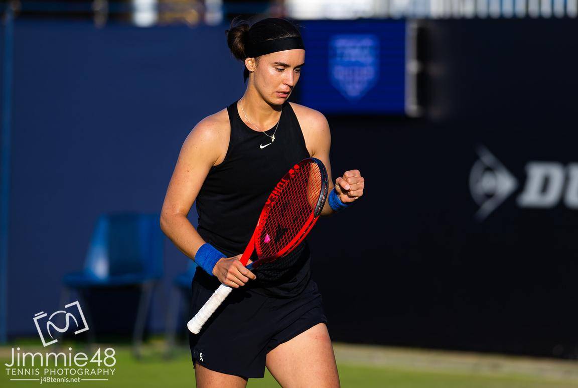 XSport image preview