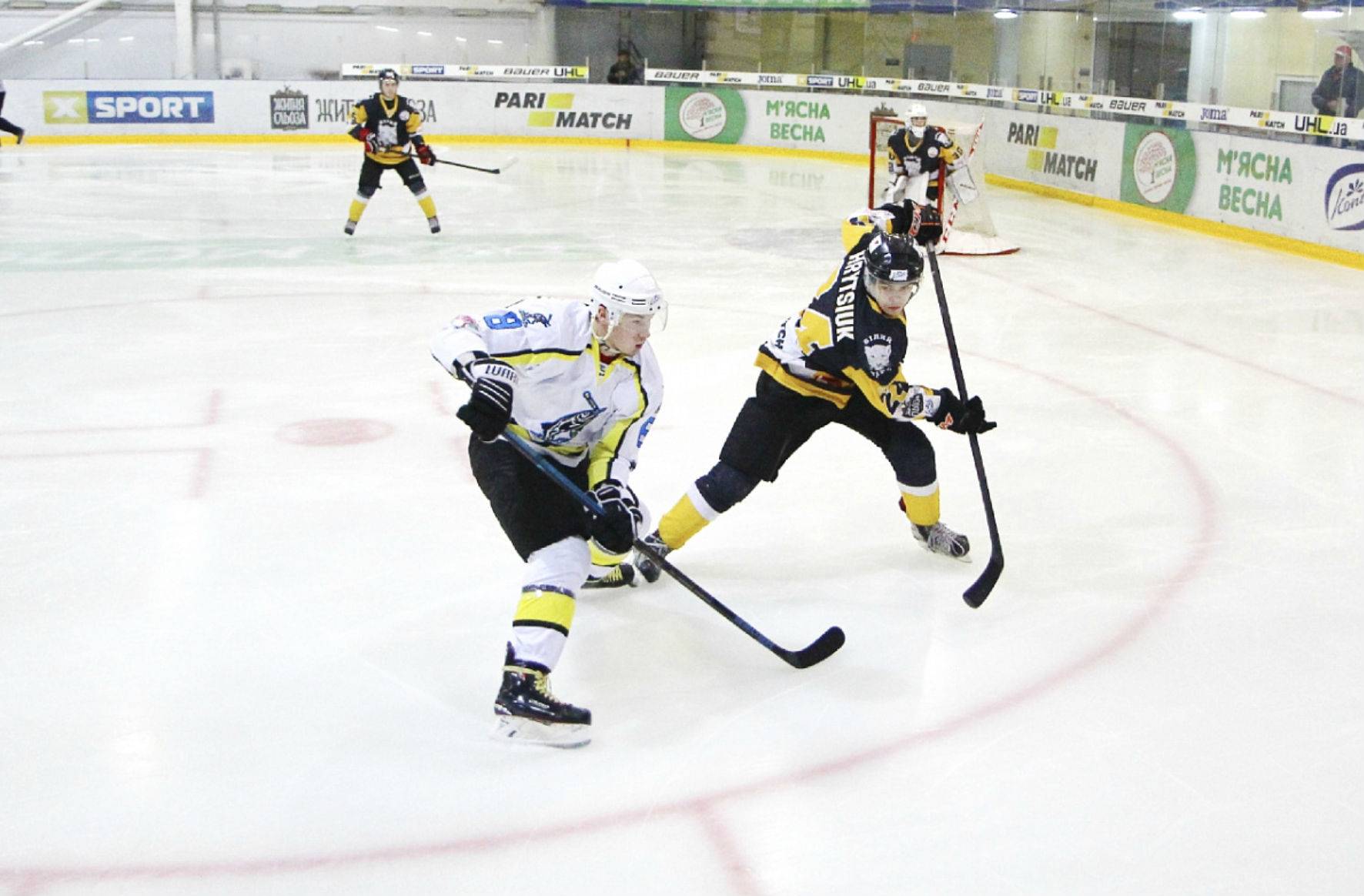 Снова дома! «Белый Барс» - «Днепр». Видео трансляция