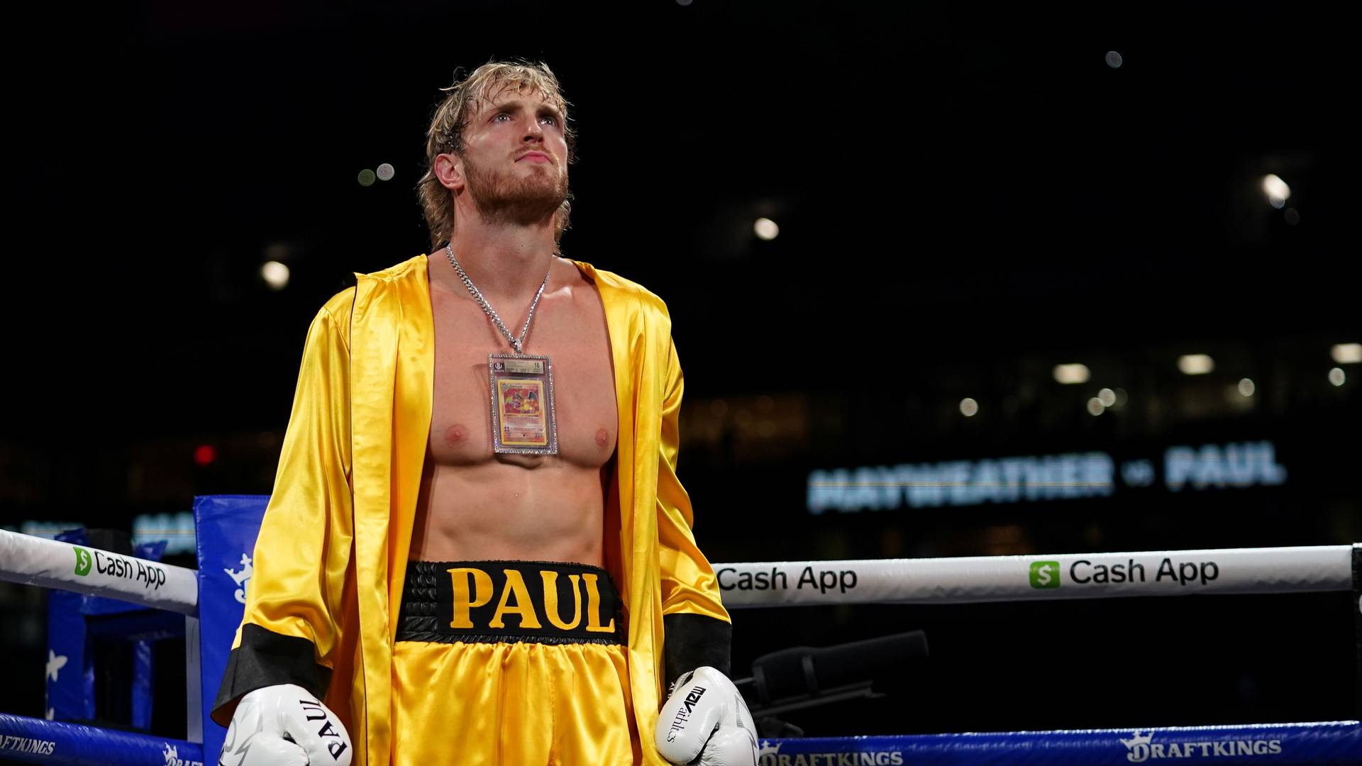 Бокса не будет? Логан Пол подписал соглашение с реслинг-промоушеном WWE