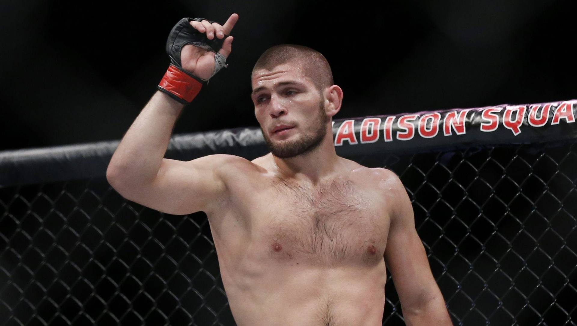 Житель Узбекистана попросил президента страны устроить ему бой с Хабибом