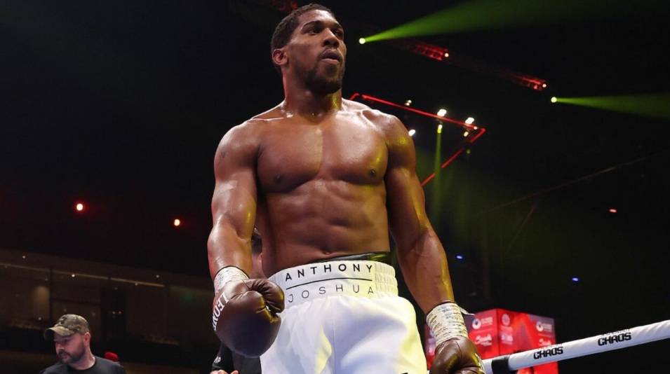 Чікева розповів, яким був Джошуа під час спарингів