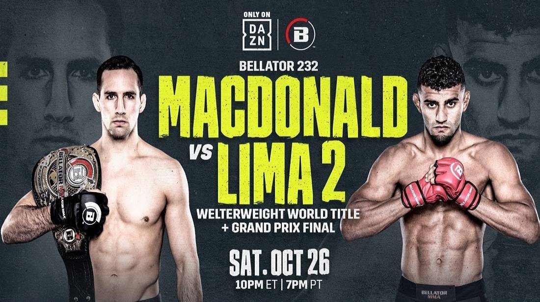 Все результаты Bellator 232: Победы Дугласа Лимы и Пола Дэйли