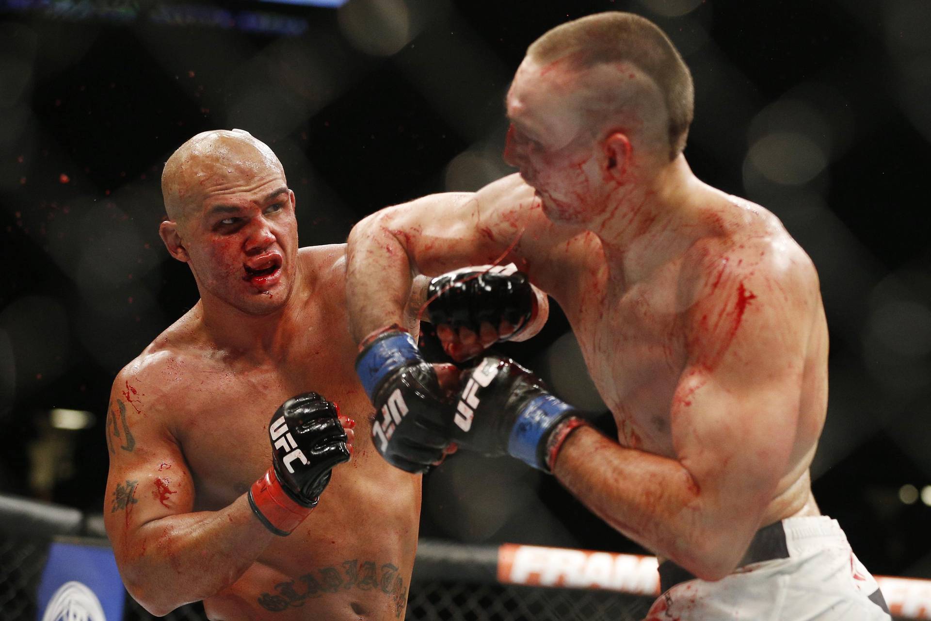 Найкривавіший бій в історії UFC. Технічний нокаут та яскрава перемога в цій війні