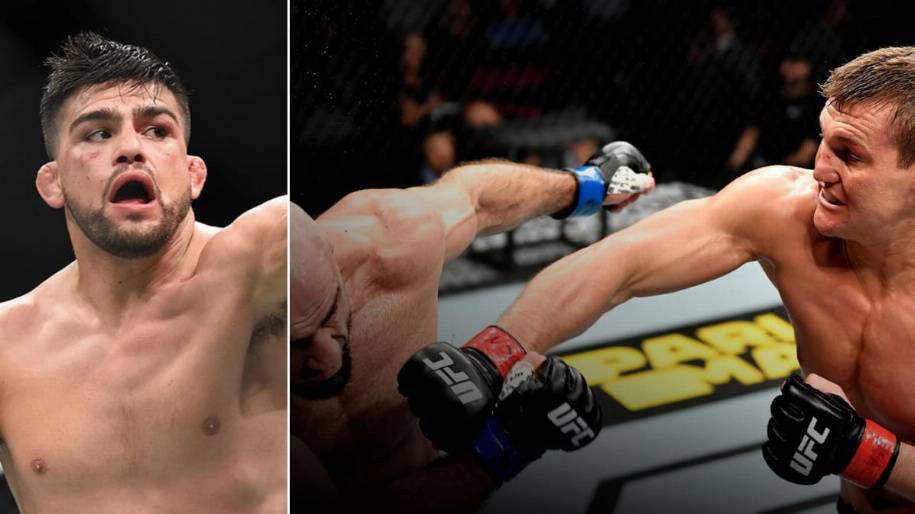 Известна новая дата поединка между Гастелумом и Хейнишем 