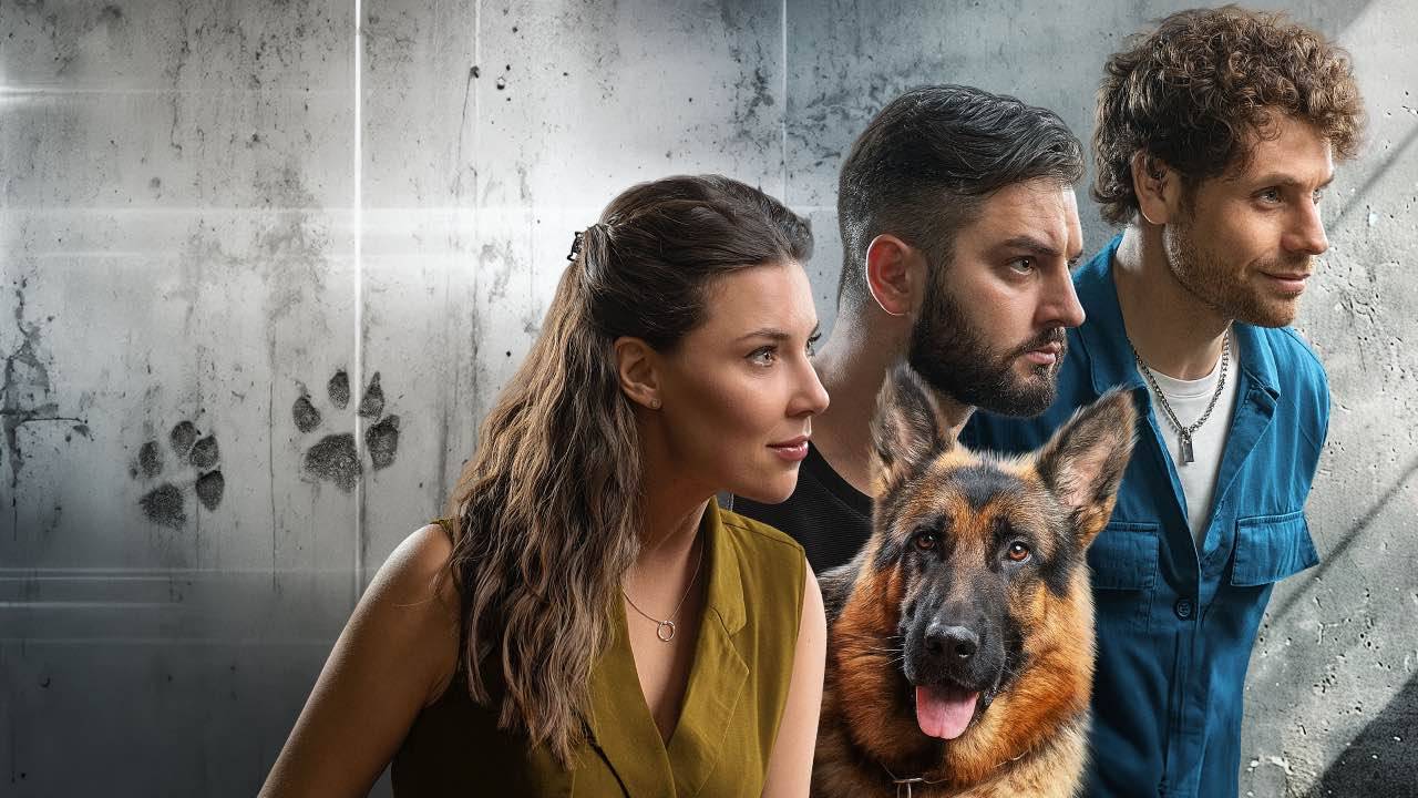 Детектив «Пес Альф» покажуть на телебаченні: про що новий серіал і що залишилось за кадром?