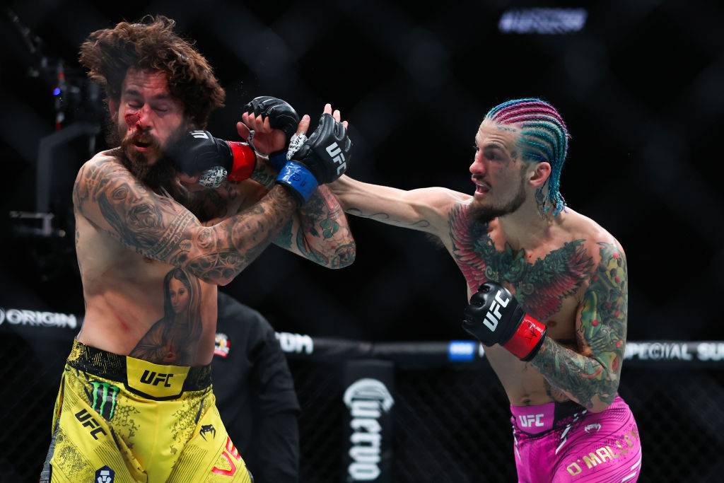 О’Мэлли: «Все, кого я знаю, смотрят пиратские стримы UFC»