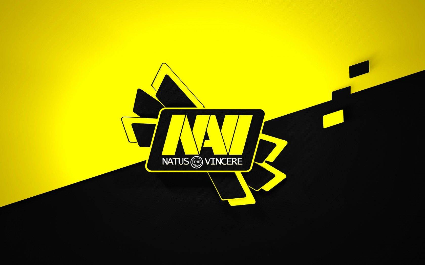 Dota 2. Natus Vincere нашли замену SoNNeikO