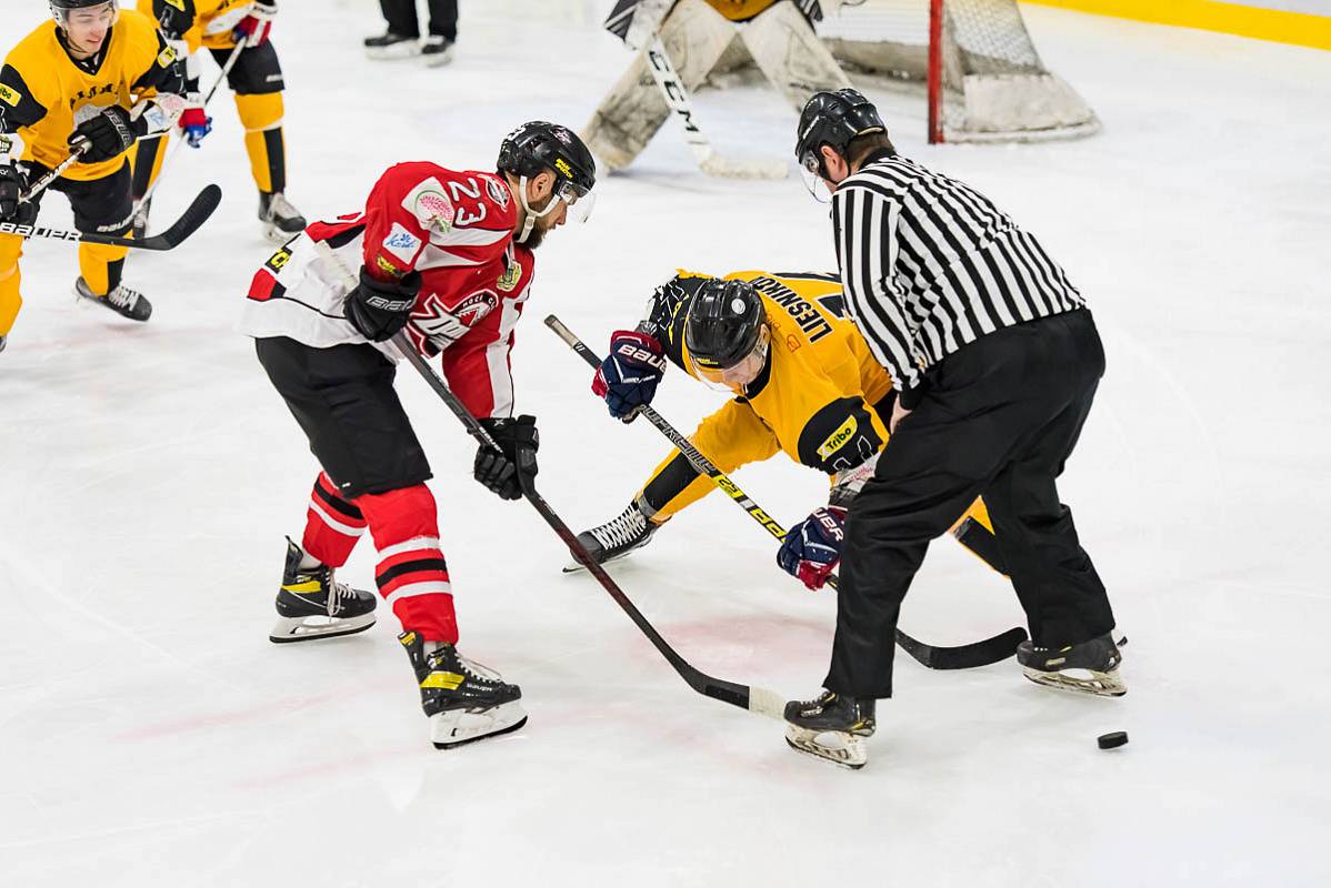 Хоккейная Суперлига. «Донбасс» — «Белый Барс». Видео трансляция