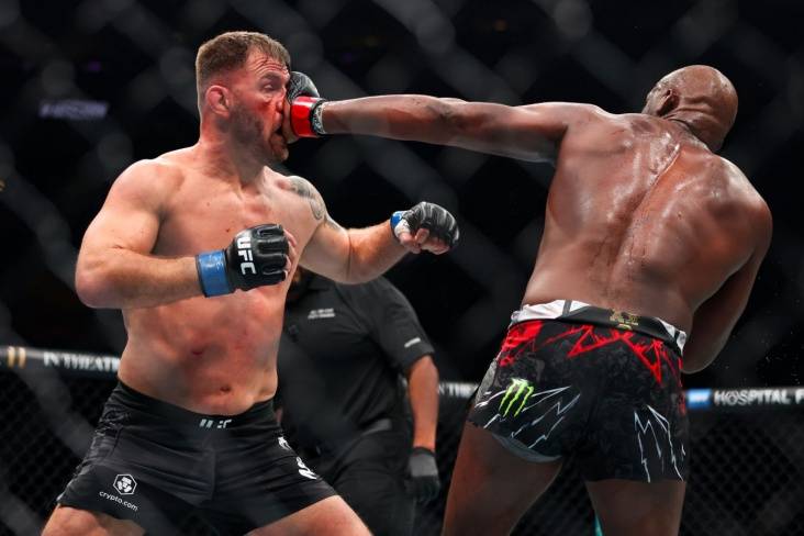 Найкращі нокаути 2024 року в UFC