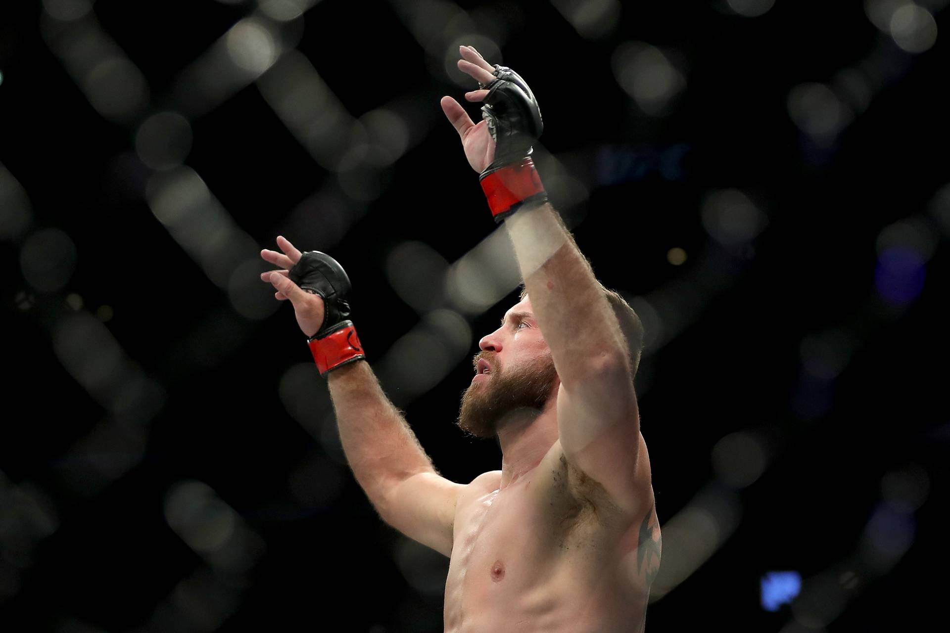 Серроне: «Как боец я гораздо лучше Макгрегора»