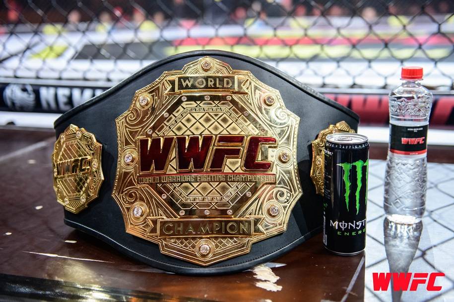 WWFC 16 оправдало харьковские надежды: захватывающие зрелища и титулы земляков