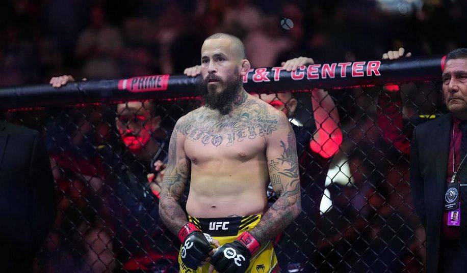 Вера: «Стерлинг должен был послать UFC»