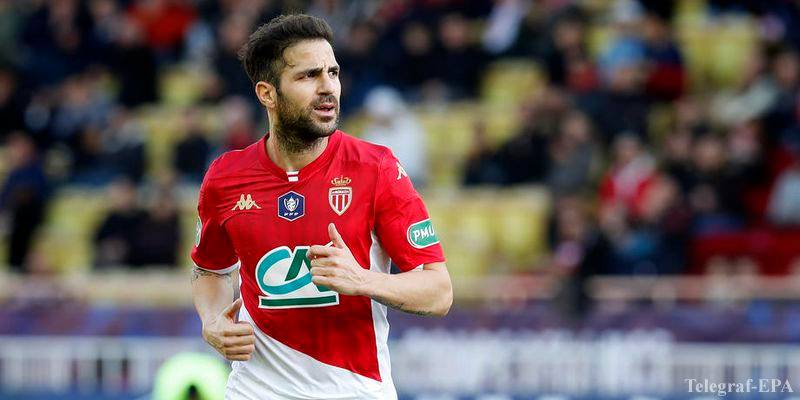 XSport image preview