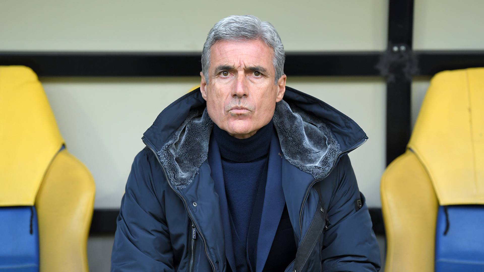 XSport image preview