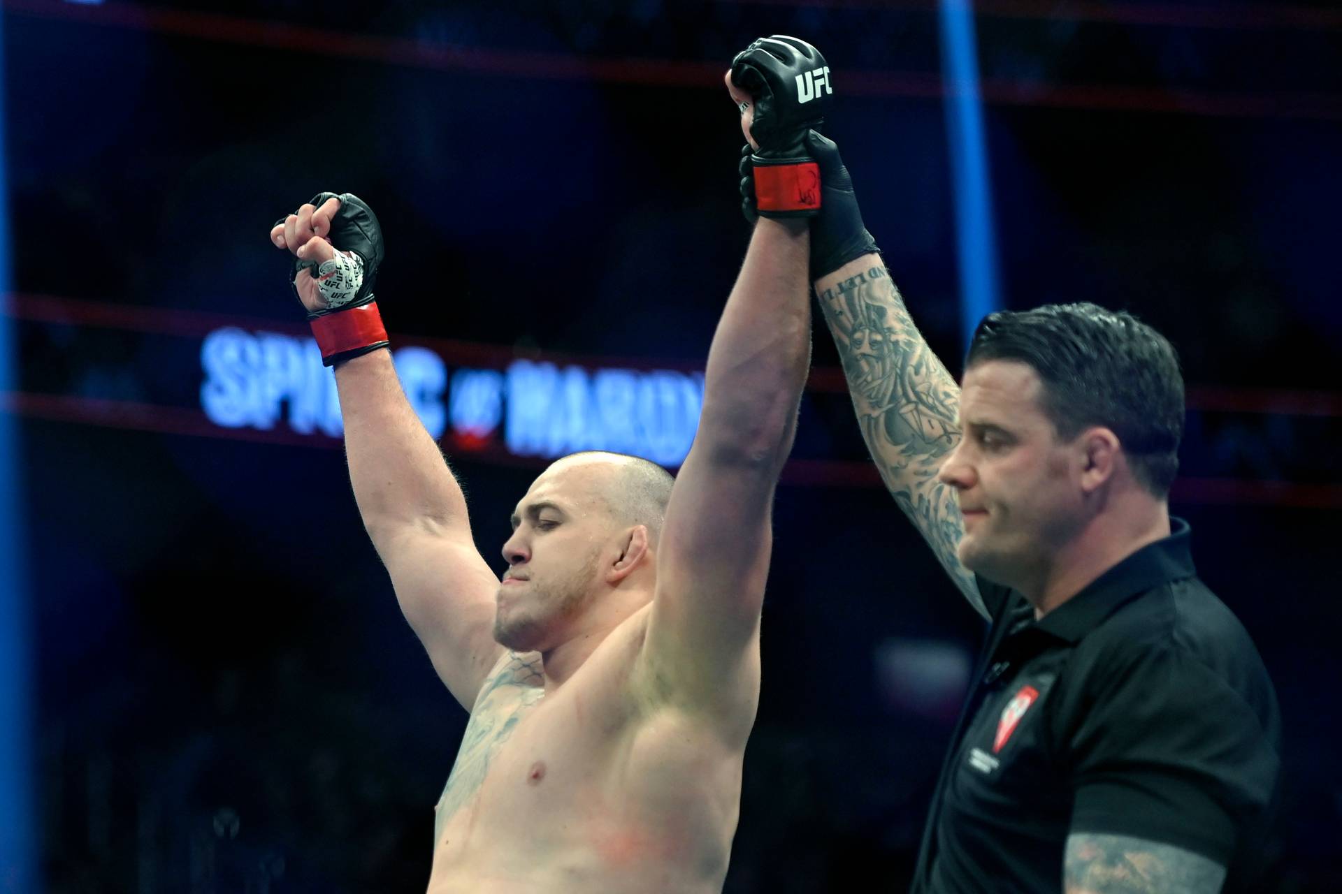 Молдавський боєць UFC: «Усик буде великою проблемою для Ф'юрі»