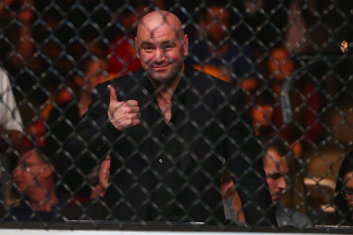 Уайт: «Боксу необходим такой же путь развития, как и в UFC»