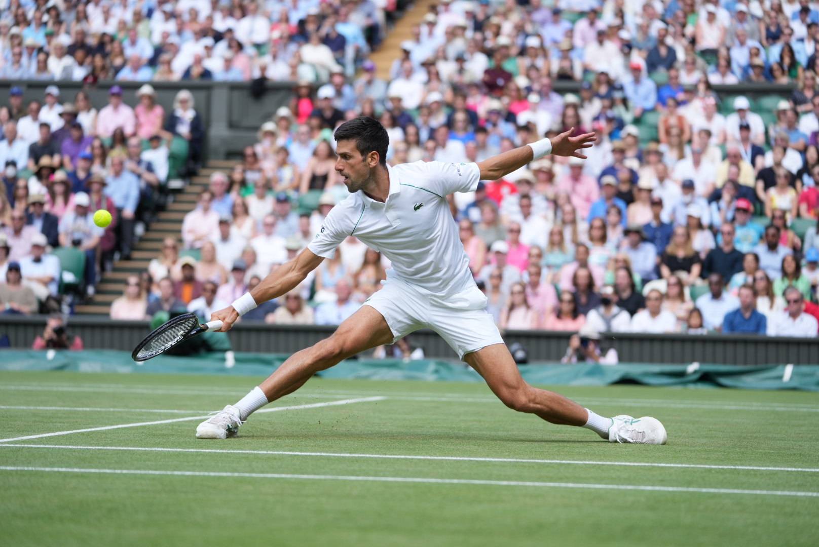 Видеообзор финального матча Wimbledon
