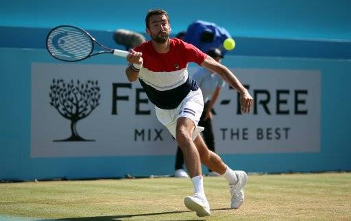 Чилич объявил о сотрудничестве с экс-шестой ракеткой мира