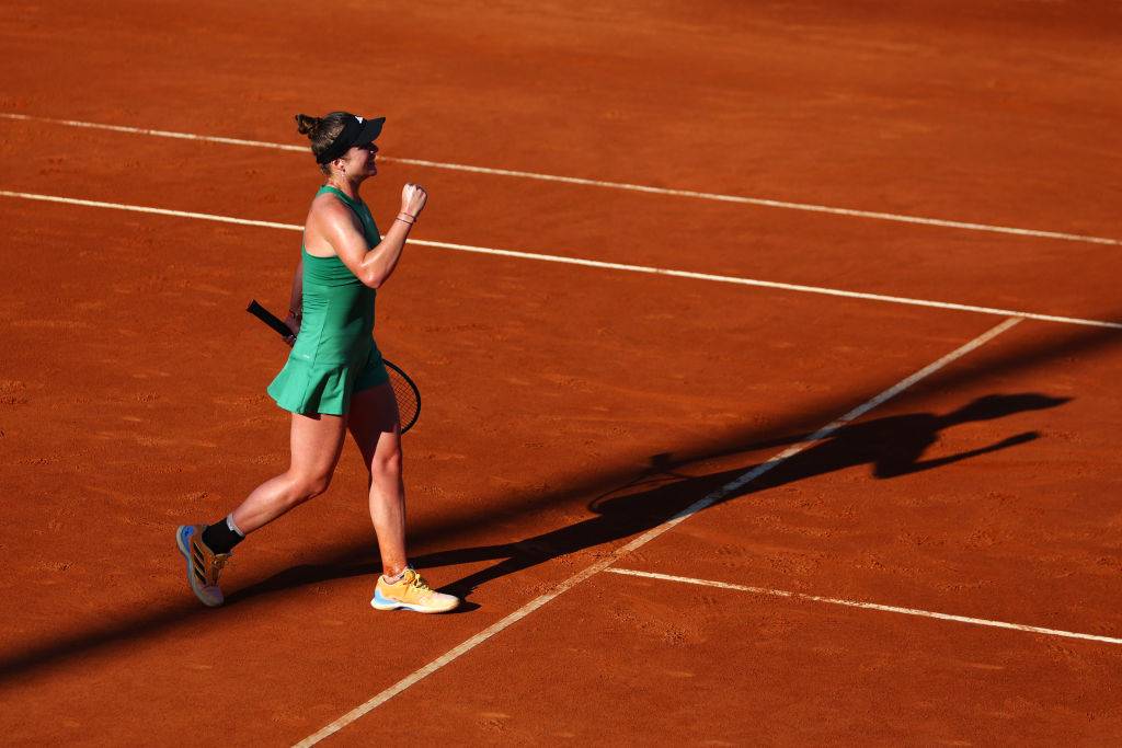 Свитолина: «У каждой теннисистки есть желание выиграть турнир Grand Slam»
