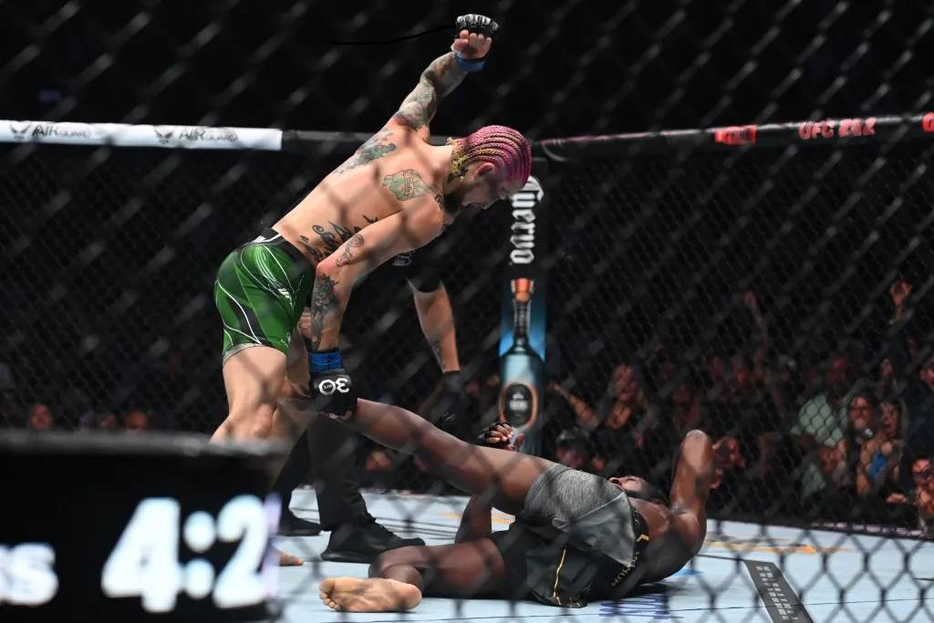 Результати турніру UFC 292: Перемоги О'Меллі і Жанг, поразка українки Мороз