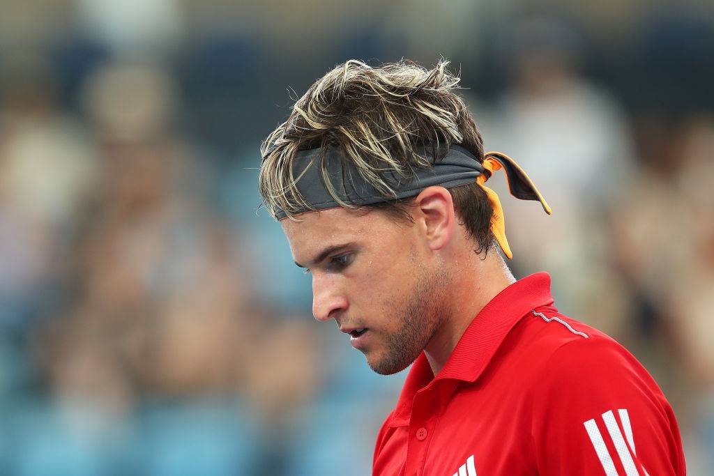 Тим стал опекуном пингвина