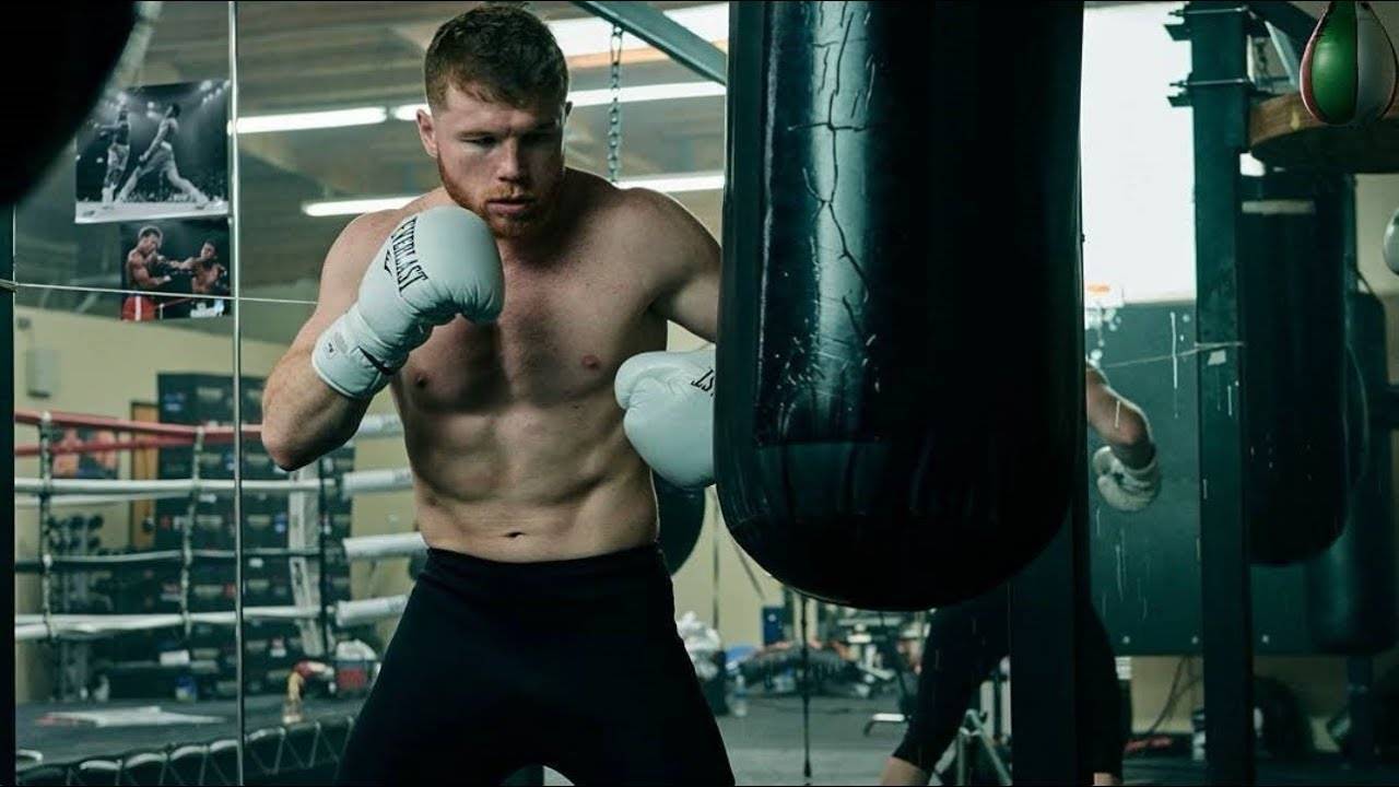 А в спарингах з ним нітрохи не легше. Канело знищує екс-претендента на чемпіонський пояс