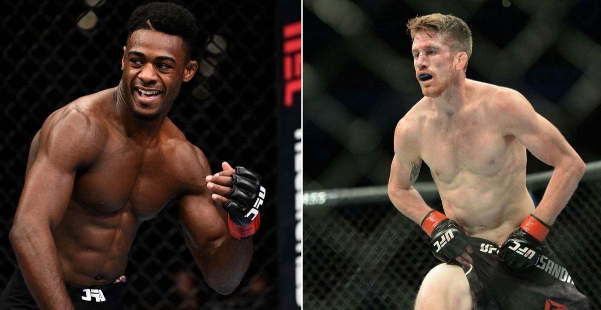 Несмотря на коронавирус Стерлинг и Сандхаген подерутся в мае