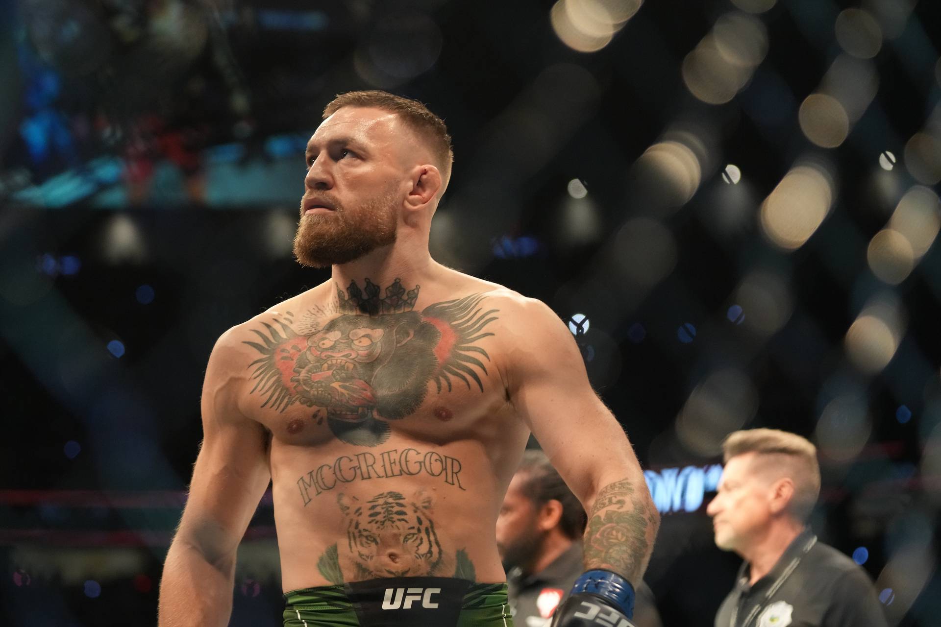 UFC може позбутися від Адесаньї, Нейта Діаса, Макгрегора і Нганну в цьому році