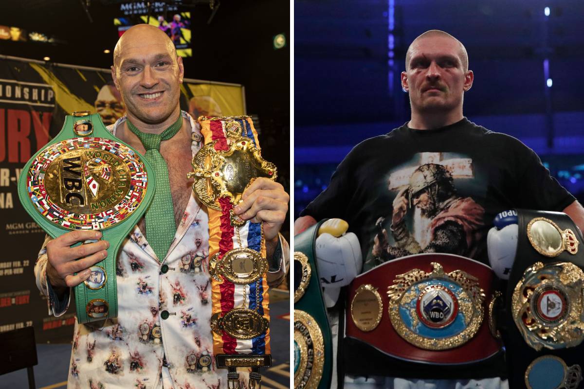 Колишній чемпіон світу вважає Ф'юрі фаворитом в бою з Усиком