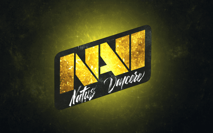 Other. Обзор игрового дома Natus Vincere