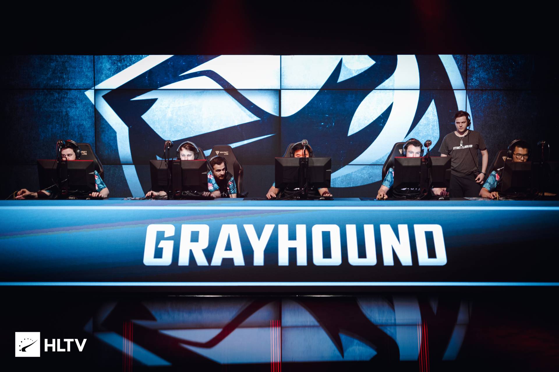 CS:GO. Renegades подписали состав Grayhound