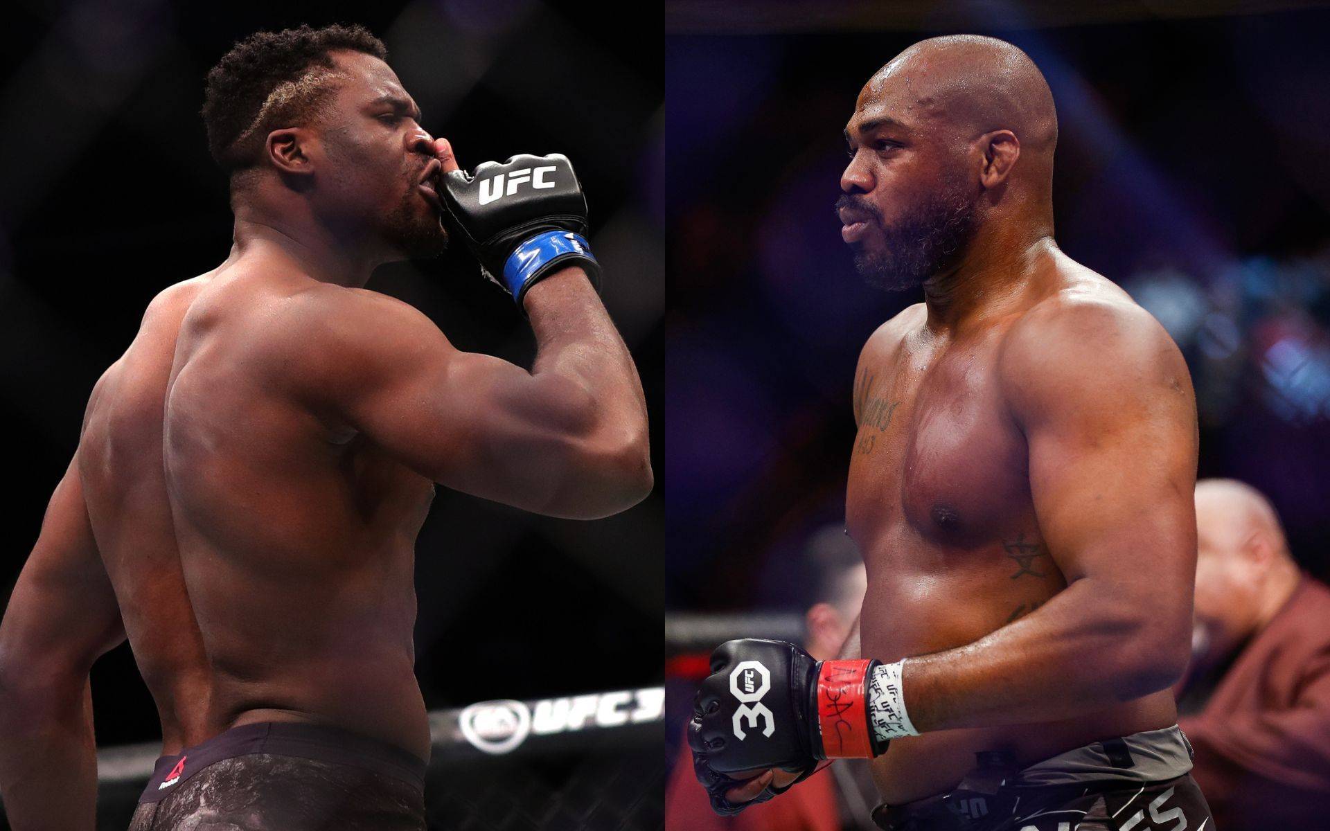 Шауб: «Нганну нокаутує Джонса в MMA»