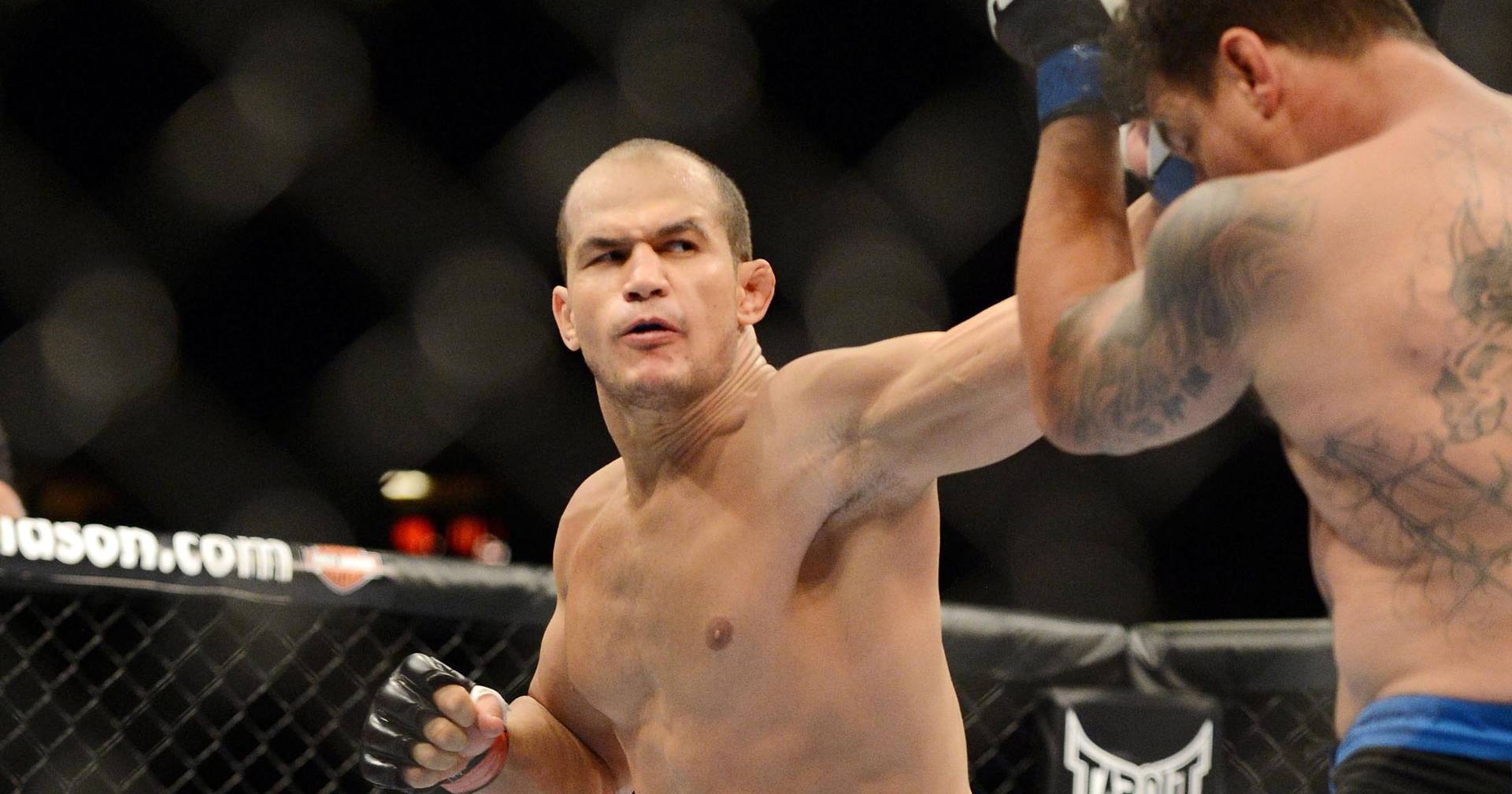 Дос Сантос: «Бой Кормье и Леснара – это неуважительно к остальным»