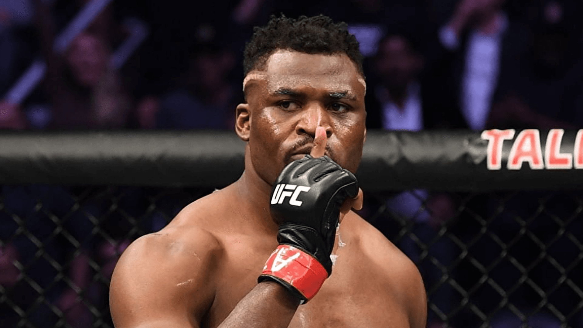 Нганну висловився з приводу можливого завершення кар'єри в UFC