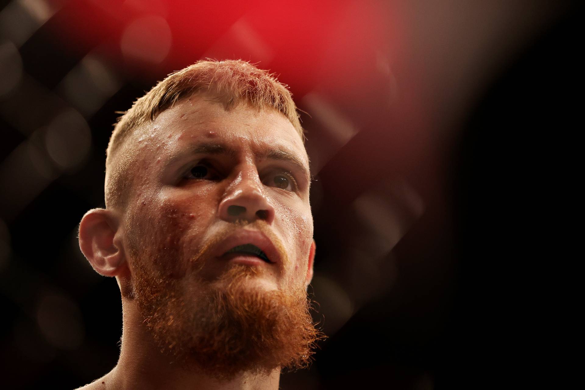 Офіційно. Потєря проведе поєдинок проти екс-чемпіона UFC