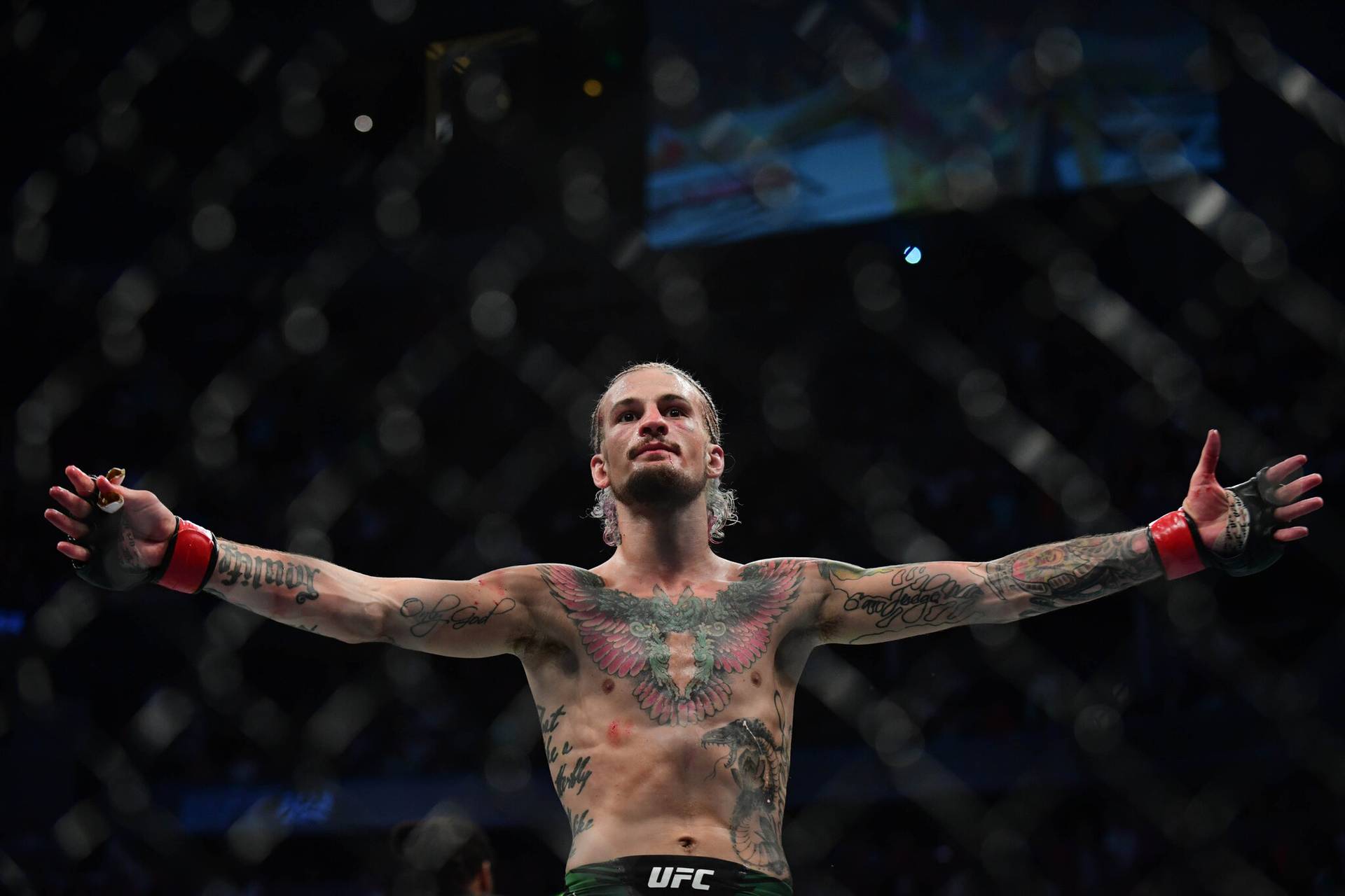О'Мэлли в будущем намерен перебраться в полулегкий дивизион UFC