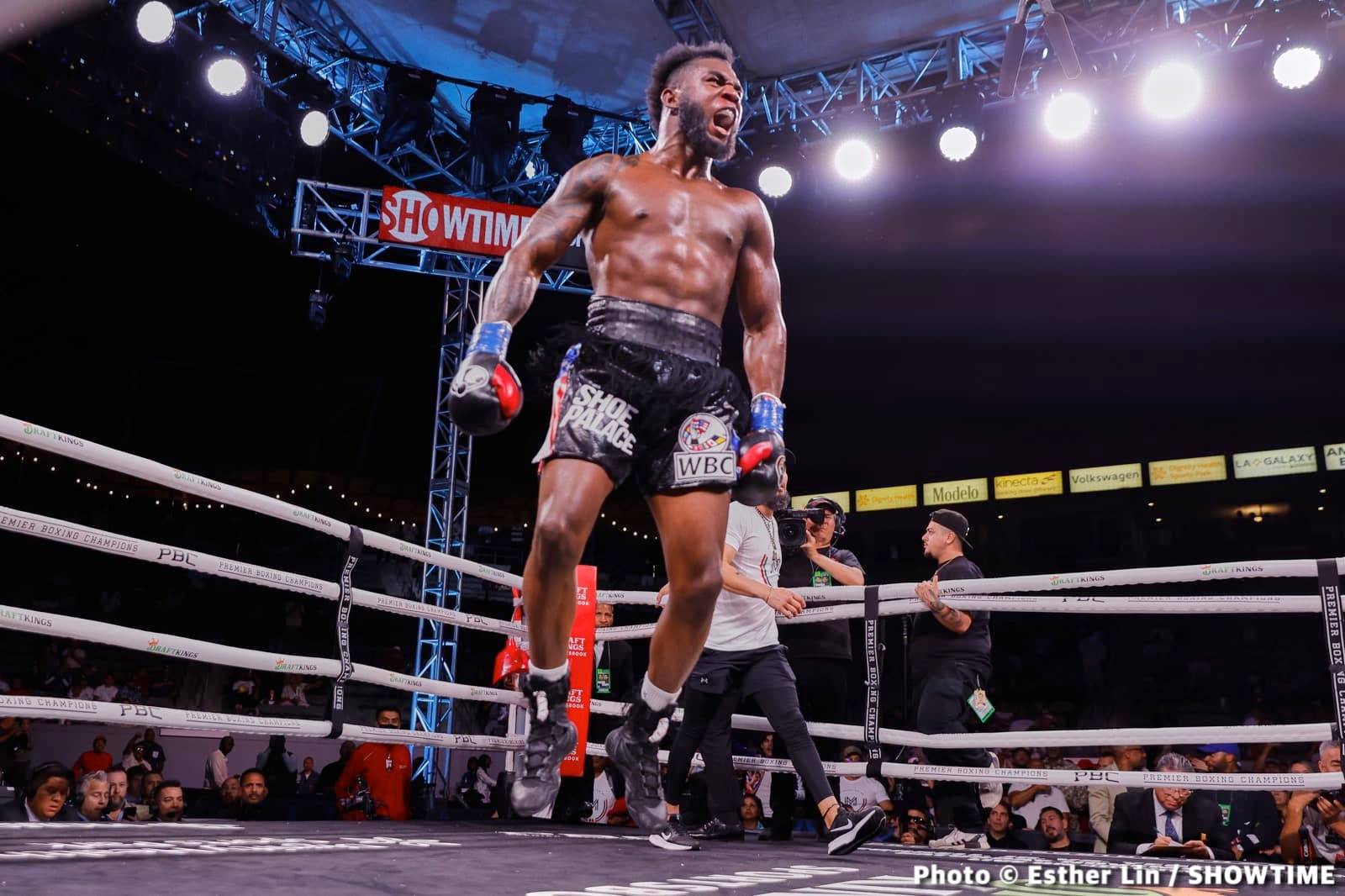 Колишній суперник Дерев'янченка проведе захист тимчасового титулу WBC в червні