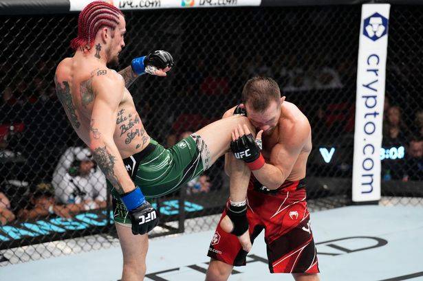 О’Мэлли: «Мое колено чуть не вышибло петра яна из UFC в Bellator»